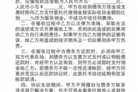 白碱滩讨债公司